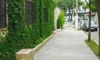 Imagem 3: Galpão para alugar, 350 m² por R$ 9.750/mês - Vila Albertina - São Paulo/SP