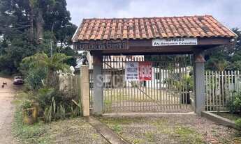 Imagem: Fazenda / Sítio / Chácara em Matulão