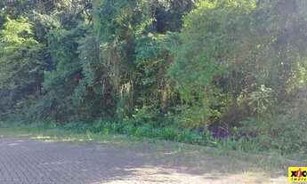 Imagem 5: Terreno para Venda em Nova Petrópolis, Juriti