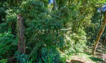 Imagem 7: GRANDE TERRENO NO BAIRRO VILA SUZANA