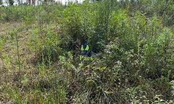 Imagem 6: Chácara com 4.068m² em Mandirituba - PR