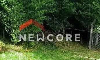 Imagem 5: Lote em Av João Pessoa - Centro - Canela/RS