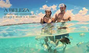 Imagem 3: Imóvel para venda com 30 metros quadrados com 1 quarto em Centro - São Miguel dos Milagres