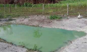 Imagem 7: Vende-se chácara