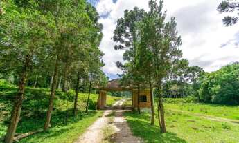 Imagem 6: Chácara com 899mil m² à venda em Campo Largo!