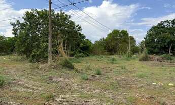 Imagem 6: Lote de 2.400m2 atras da Av. Teotonio Segurado