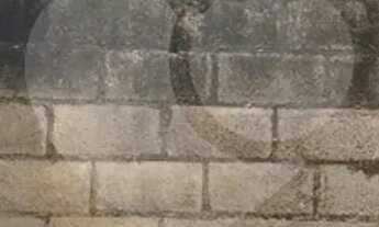 Imagem 5: Terreno à venda em Vila Dalila - SP