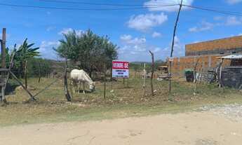 Imagem 5: Terreno na taiçoca de fora