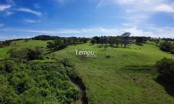 Imagem 3: Fazenda 3 alqueires em Anicuns - Excelente para plantio