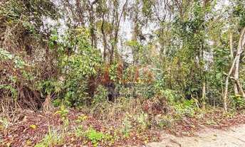 Imagem 3: Terreno à venda, 790 m² por R$ 560.000,00 - Piratininga - Niterói/RJ