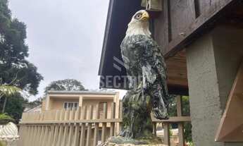 Imagem 4: Fazenda / Sítio / Chácara em Matulão - Tijucas do Sul