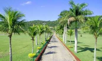 Imagem 3: Jazigo perpétuo Jardim da Saudade