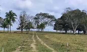 Imagem 7: Chácaras em Carapebus parceladas loteamento fundo lagoa Carapebus