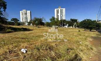 Imagem: Terreno à venda, 256 m² por R$ 300.000,00