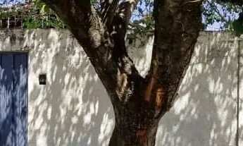 Imagem 2: Casa com 275m² - Setor Sudoeste