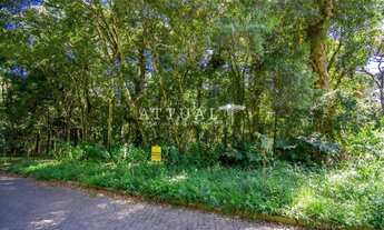 Imagem: GRANDE TERRENO NO BAIRRO VILA SUZANA