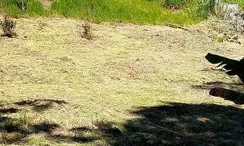 Imagem 3: Lotes Terreno / lote com venda por R$140.000