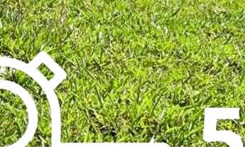 Imagem 3: Lotes proximo a rodovia Fernão Dias aproveite!