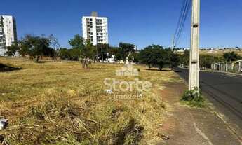 Imagem 2: Terreno à venda, 256 m² por R$ 300.000,00 - Bosque dos Buritis - Uberlândia/MG