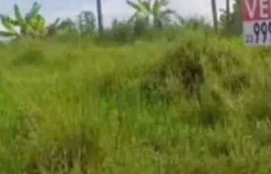 Imagem 4: Terreno 8X20 /40.000 Bairro Valle Verde