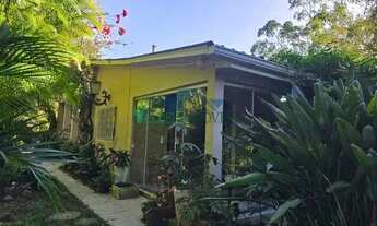 Imagem 4: Velleda oferece excelente sítio em Viamão com 12,5 hectares, casa ampla, piscina e muita n