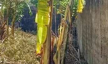 Imagem 5: Lote em Av. Juscelino Kutstschek - Felipe Cláudio - Pedro Leopoldo/MG