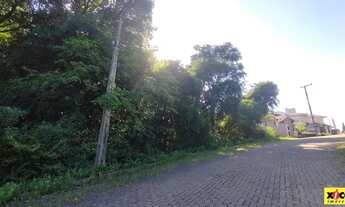 Imagem 7: Terreno para Venda em Nova Petrópolis, Juriti