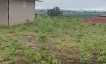 Imagem 5: Fazenda de arrendamento em pasto 4800 hec em primavera faz do leste