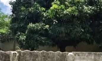 Imagem 6: Casa com 4 dormitórios à venda, 160 m² por R$ 390.000,00 - Centro - Neves Paulista/SP