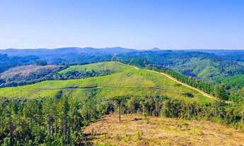 Imagem 7: Campo Largo, à 6 km do asfalto, 111 alqueires, ou 269 hectares , 38 Alqueires Própria Refl