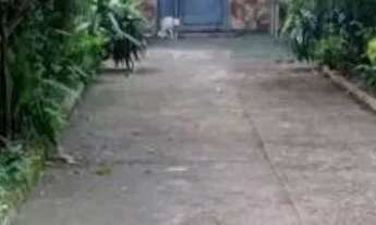 Imagem 4: Casa à Venda em Suzano R$ 400.000,00