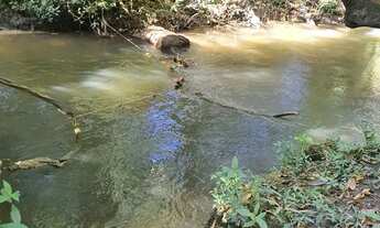 Imagem 3: Excelente Chácara de 2 Hectares no Pipiripau II - DF 345 Planaltina-DF