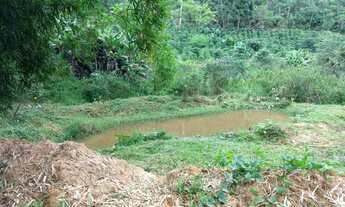 Imagem 5: Vendo Fazenda em vagem alta