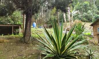 Imagem 2: Vendo Fazenda em vagem alta
