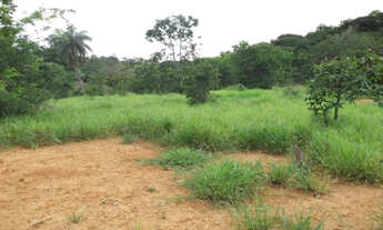 Imagem 7: Lindas fazendinhas de 20.000m² com córrego nos fundos. Serra do Cipó (Temos varias opções