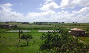 Imagem 2: Promoção 15,5 tarefas em São Sebastião