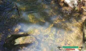 Imagem 3: GAROPABA - terreno no siriu