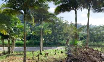 Imagem 5: Terrenos no Centro de Pomerode - SC