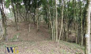 Imagem 2: Chácara para Venda em Campo Largo, Estrada da Faxina/Taquaral