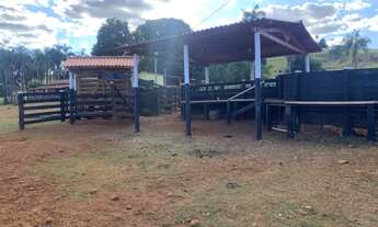 Imagem 5: Oportunidade! Vende-se uma belíssima fazenda de 250 Alqueires
