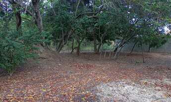 Imagem 7: Vendo Lote Pedrinhas