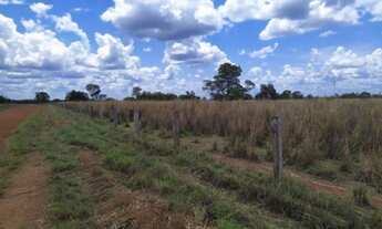 Imagem 4: Fazenda em Peixe