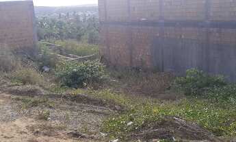 Imagem 4: Vendo ou troco terreno em nossa Senhora do socorro