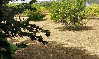 Imagem 3: Iranduba 8.500 "lindo terreno" med.. 10x40 a 5km do Caldeirão km 13