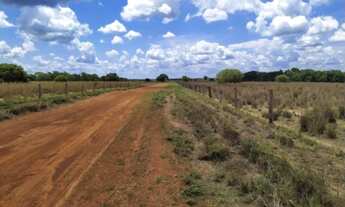 Imagem 6: Fazenda em Peixe