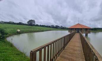 Imagem 2: IMOVEL EXTRA )Chácara de 7,23 Alqueires Alto Padrão