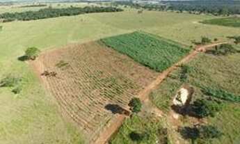Imagem 4: Excelente Fazenda á venda com 10 alqueires no município de Monte Alegre de Minas - MG