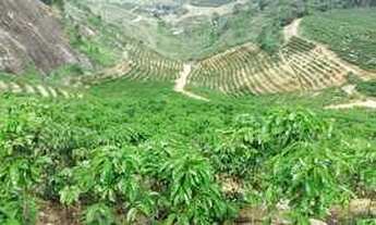 Imagem: Crédito Rural