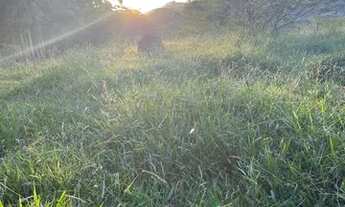 Imagem 2: Terreno com potencial para construir sua casa de sonhos à beira da represa Jaguari