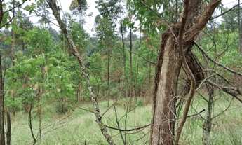 Imagem: Terrenos e lotes